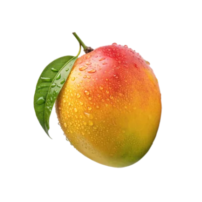 mango - samaalhajar