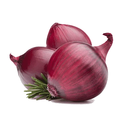 onion - samaalhajar