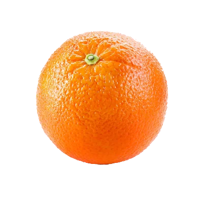 orange-samaalhajar