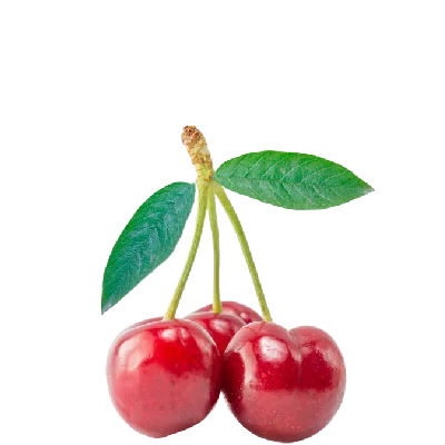 cherry samaalhagar